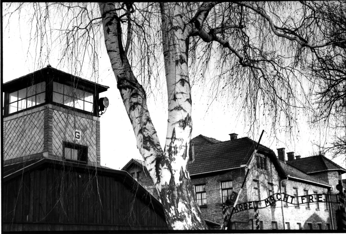 Auswitch, photo François Wehrbach, 2005