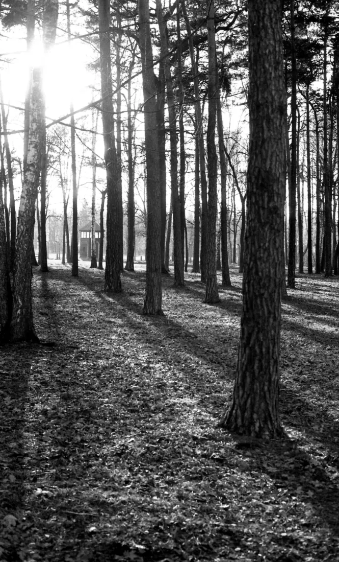 Photo François Wehrbach, 2005